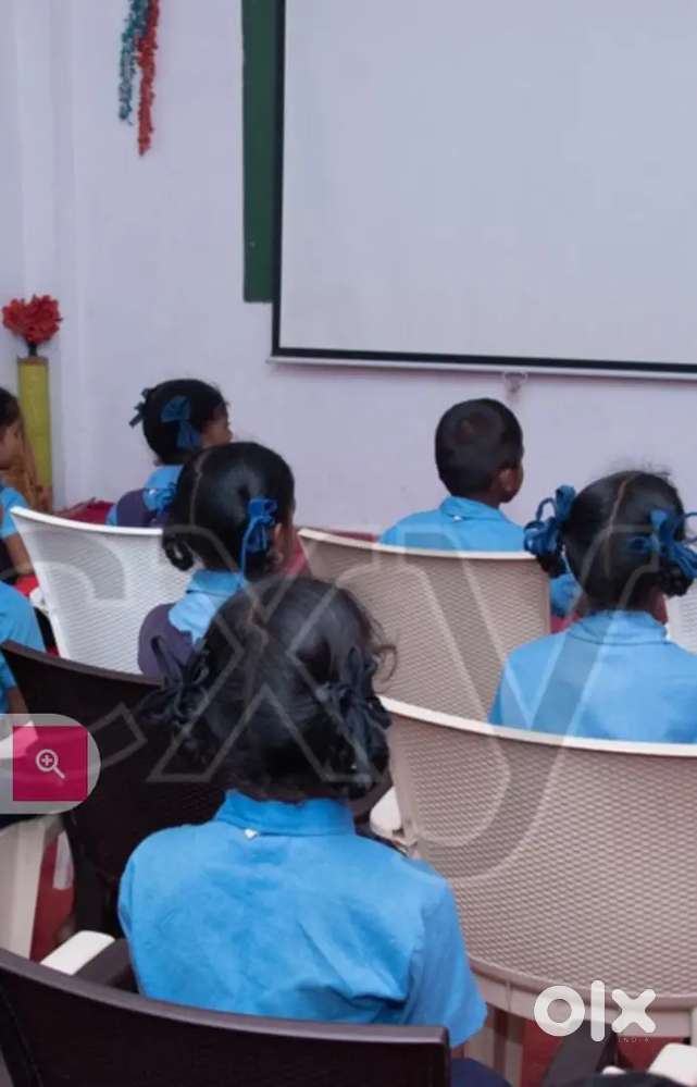 Teacher , fresh degree holder wanted