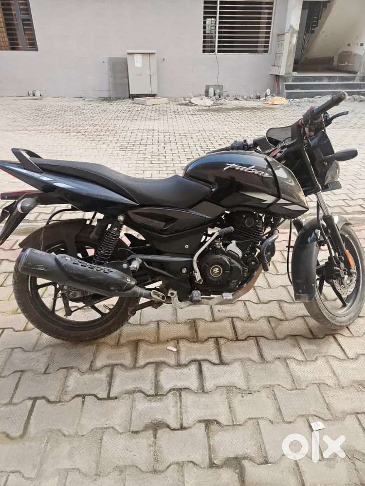 Pulsar 125 2023 model