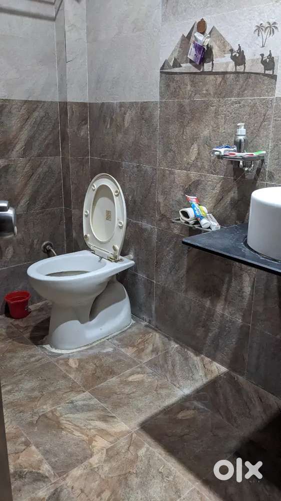 1 BHK Furnished house/flat on Rent at prime location at Ellorapark