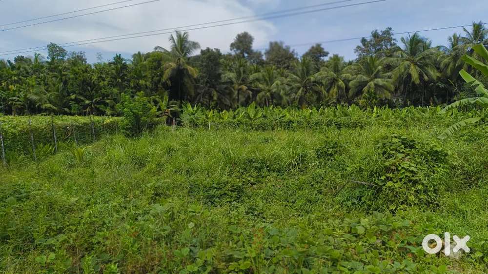1.12 Acre plot for urgent sale with best price