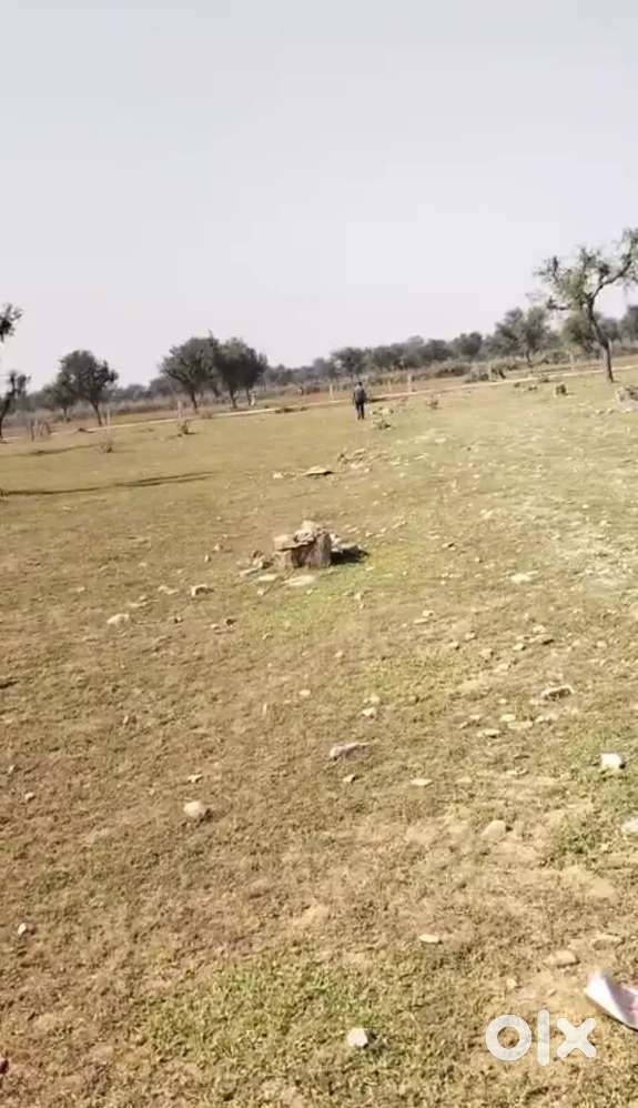 FarmLand 1550sqft for Sale near Jodhpur Mega Highway CornerPlot Jaipur
