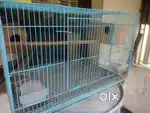 Birds  cage