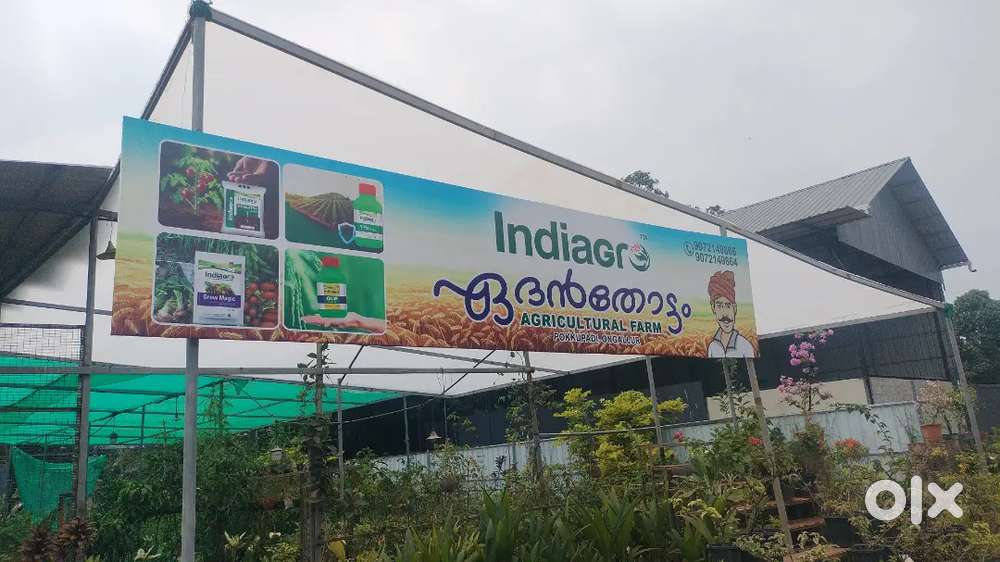 Aap gir gel ka form nursery boards pleasure