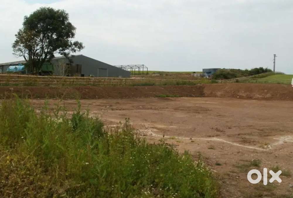 Rura road,Shivay hospital ke aage, near marrige lown, in side petrol p