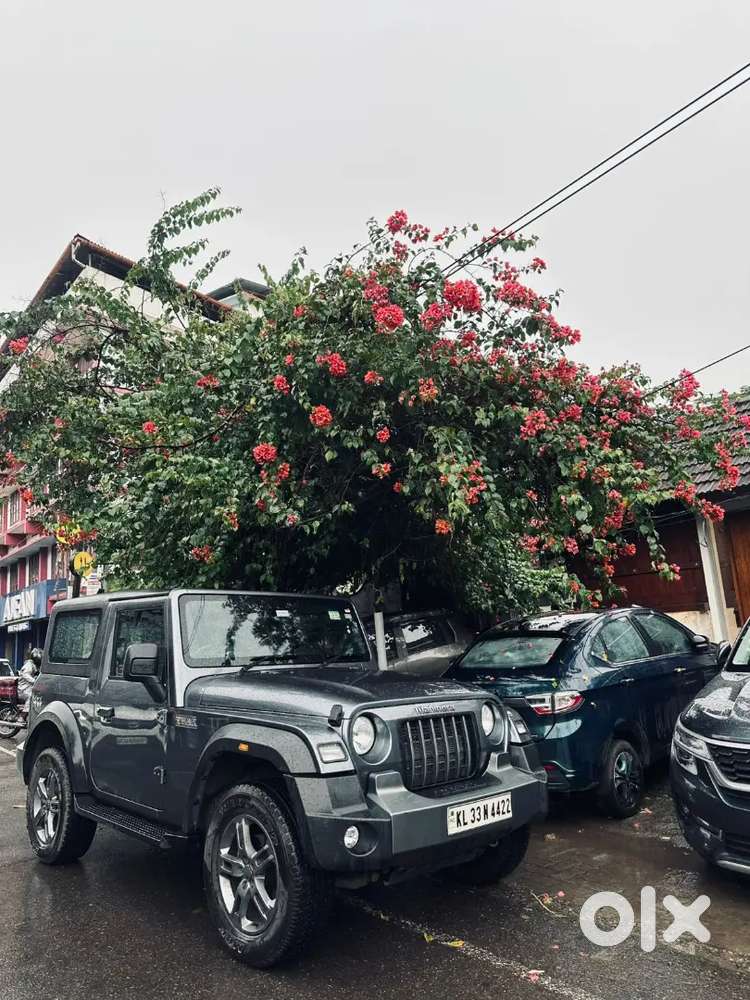 Mahindra Thar.e 2021 Full Option 19124 Km Driven
