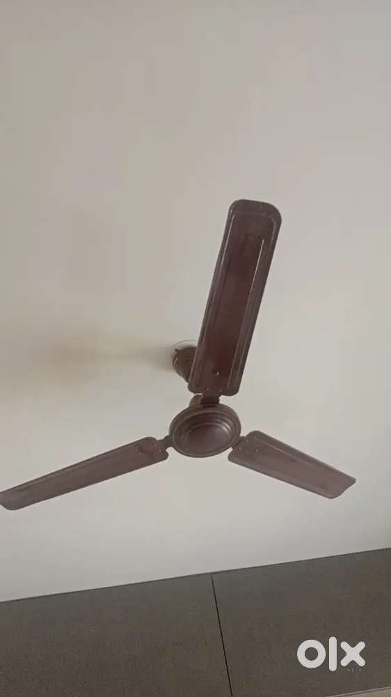 Crompton Celing fans