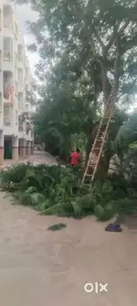 Housekeeping