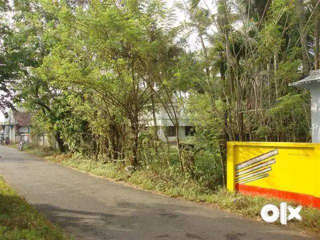 55 Cents Land in Eloor Ferry