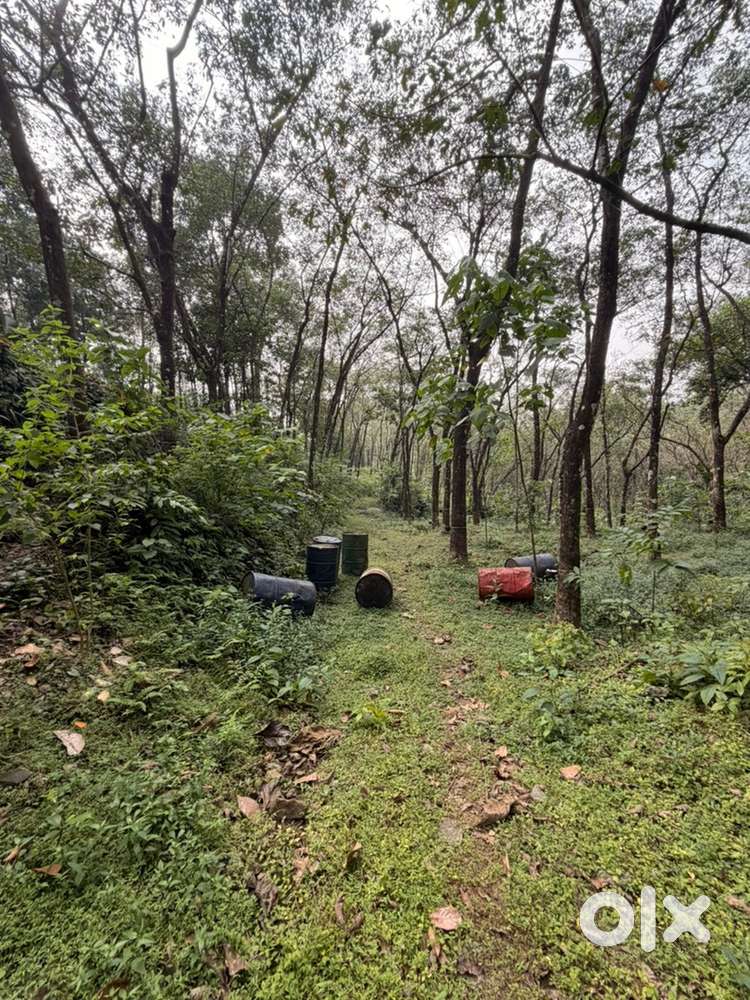 Kothamangalam Chelad