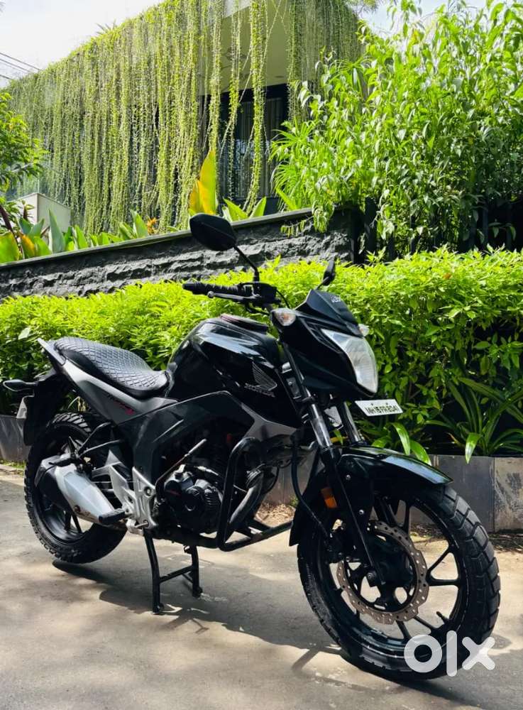 Honda Hornet
