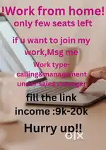 WORK FROM HOME 18+ PERSON/STUDENTS/JOB PERSON/HOUSE'WIFE APPLY HERE.?