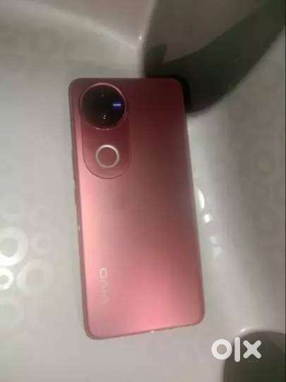 V50 8GB+256GB Rose Red