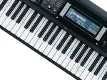 Roland GW-8 ( Workstation)