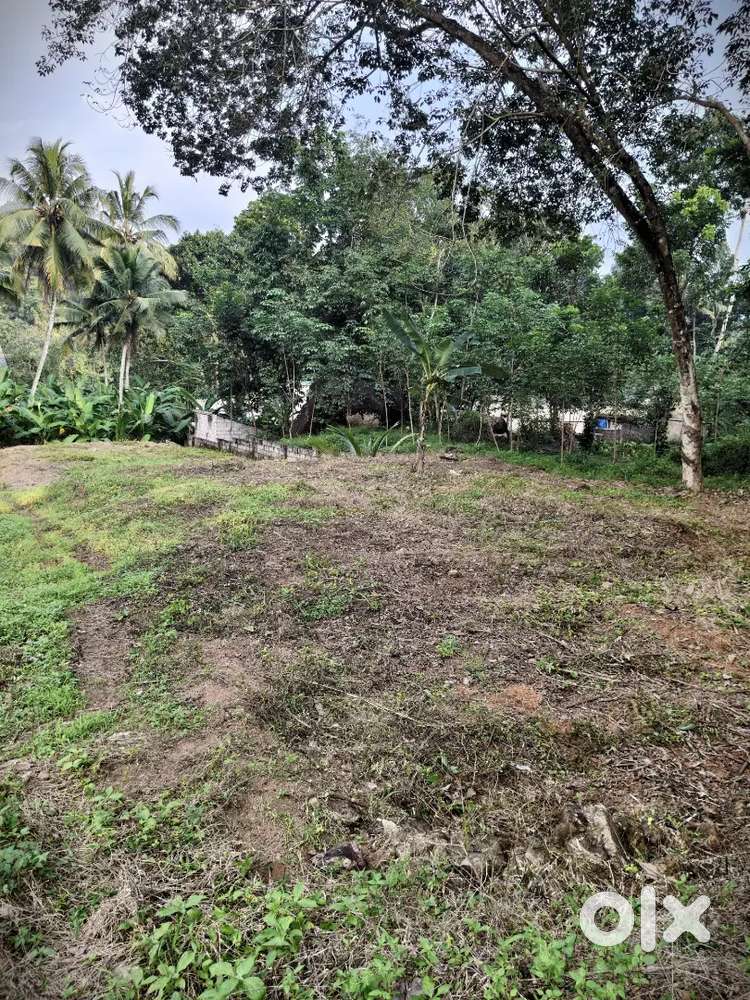 5 cent plot for sale