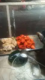 Only helper for fastfood stall