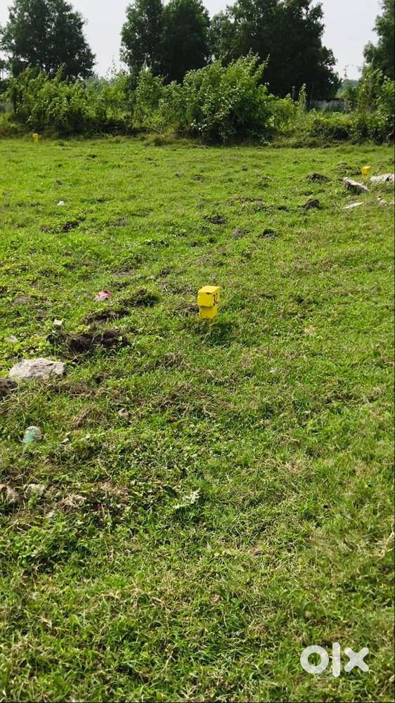 ఆంధ్రుల రాజధాని అమరావతి kanchikacherla plots at chevitikallu