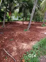 HOUSE PLOT IN PILATHARA
