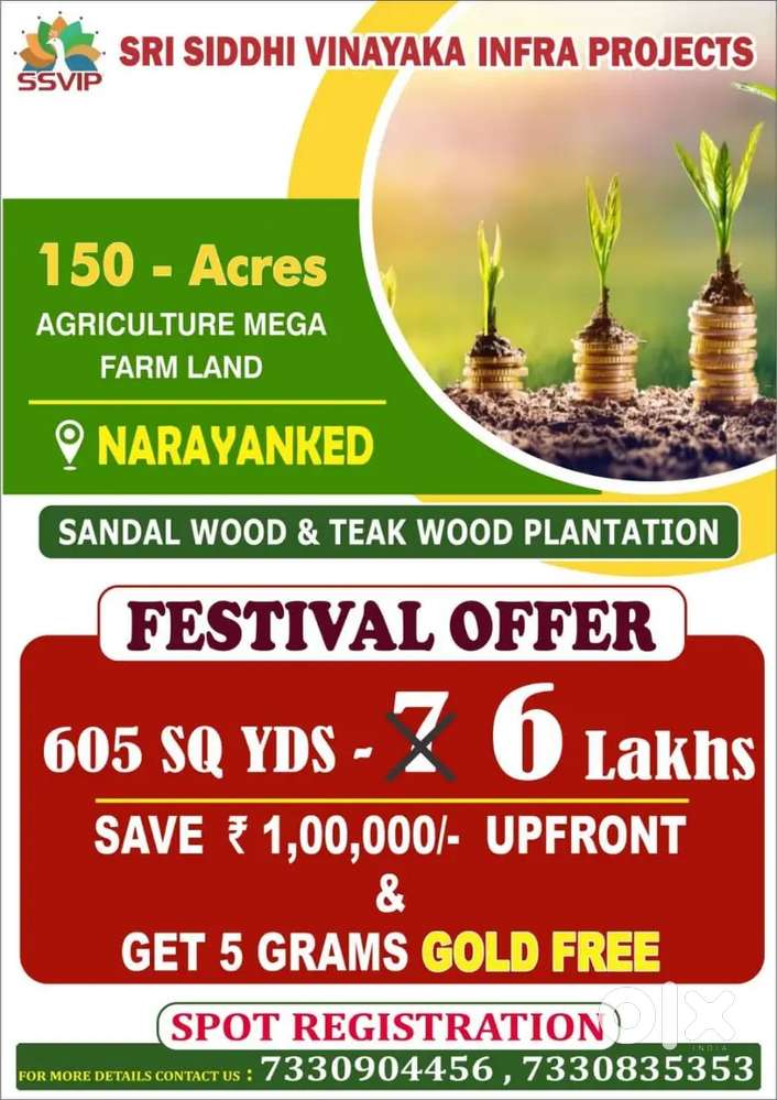 SANDEL WOOD & RED SANDEL FARM PROJECT @ NAGALIGIDDA (NARAYANAKHED)