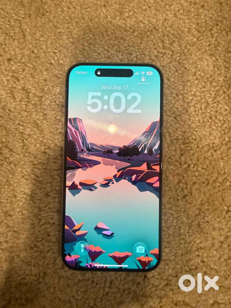 iPhone 15 Pro (256GB, Titanium Gray) – Excellent Condition