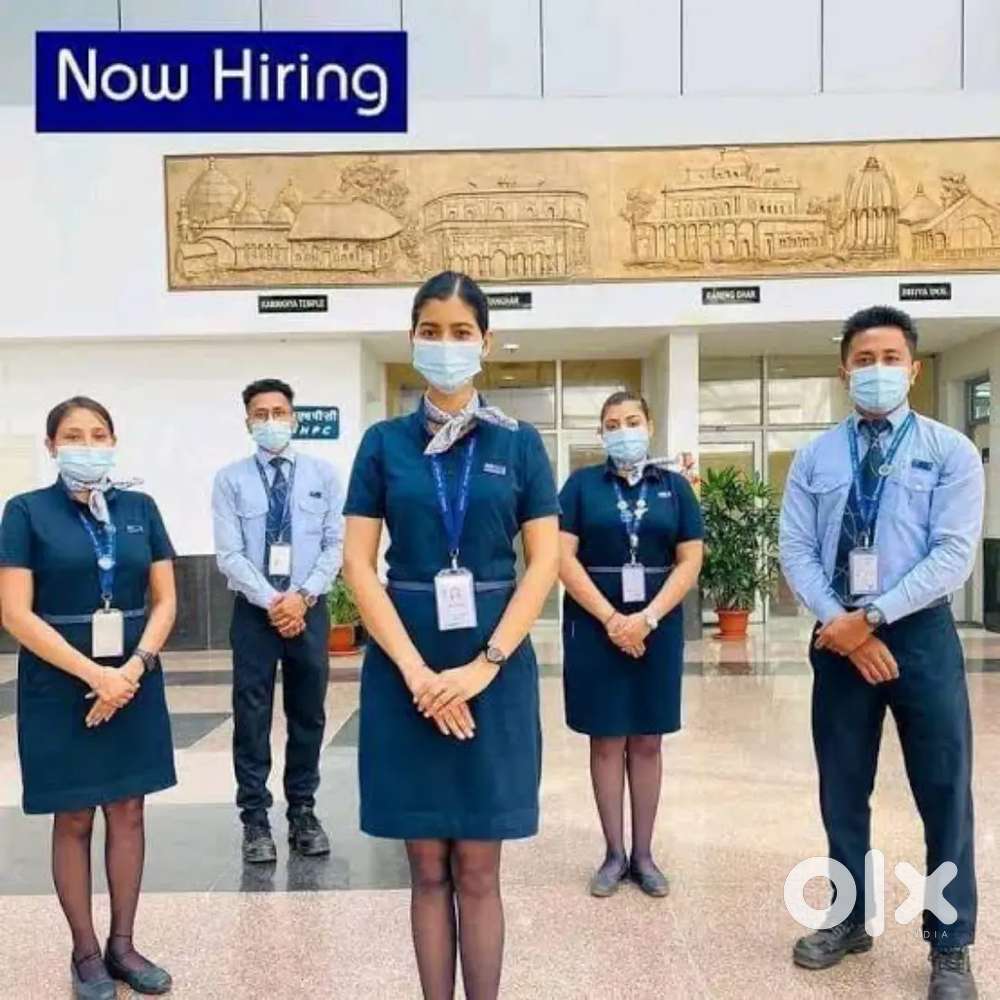 Limited seats for male and female Both in Aviation Industry