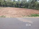 மேட்டூர் மெயின் ரோடு அருகில் 21 சென்ட் நிலம் விற்பனைக்கு உள்ளது.
