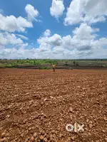 Near Sambhar lake