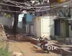 Hall Kitchen House for Rent in Devadurga (Sarojini Street))