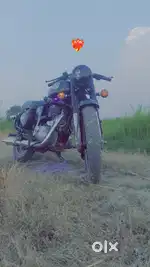 Standard 350
