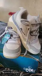 Ogyi orginal shoe