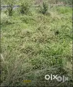 3 katha Resale plot sale at wonderful familiar location.