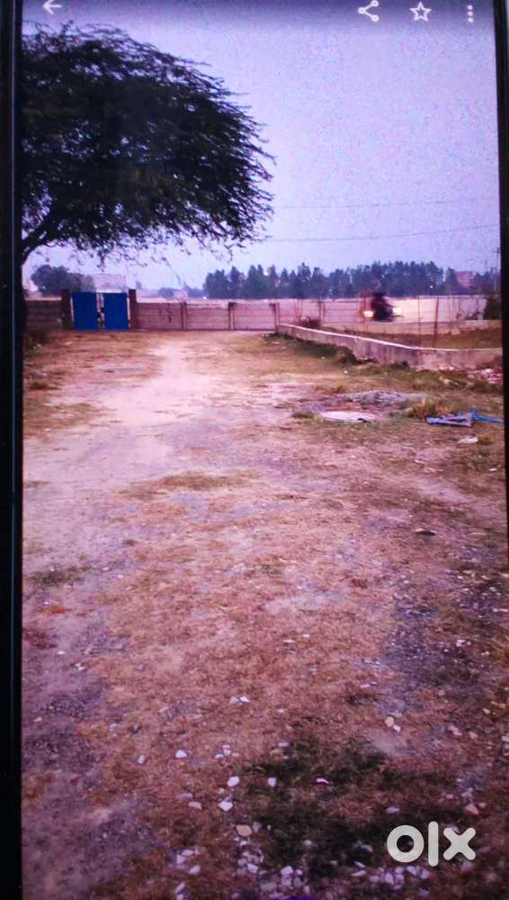 Semi commercial plot near Ramswaroop university