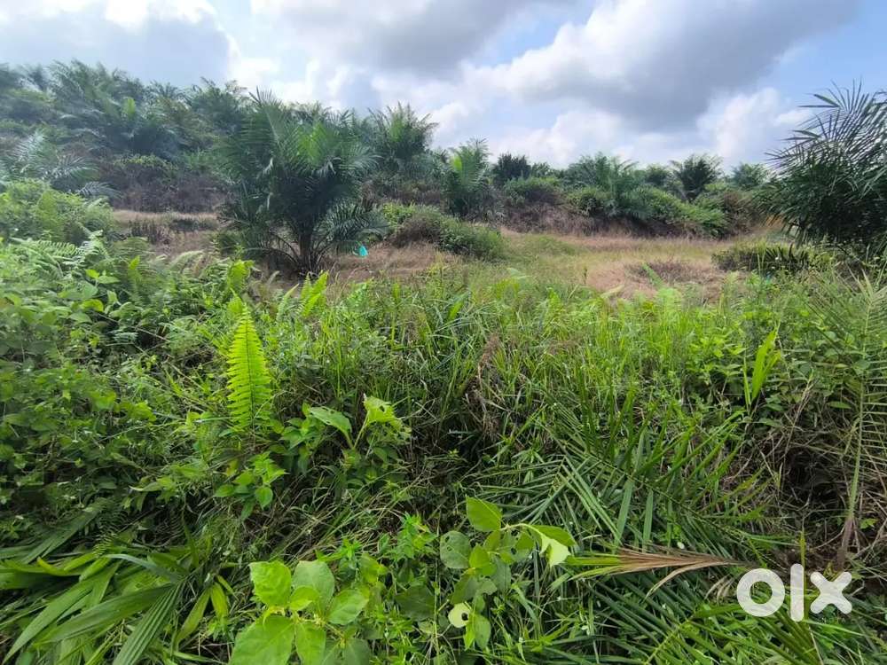 ২০০০০০ পার কাঠা