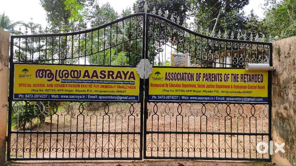 CARE GIVING AND GENERAL NURSE