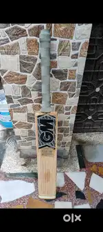 GM English Willow Cricket Bat