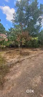 Thonakkal 5.5 cents plot for sale