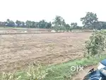 VIP NAGAR plot