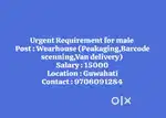 Wearhouse (Packaging, barcode scenning, van delivery)