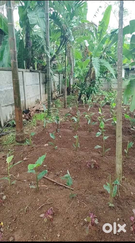 Residential plot for sale in wadakanchery.near by