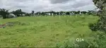Clear Title,Road Access,Boundary,20 Guntas Agriculture land for Sale