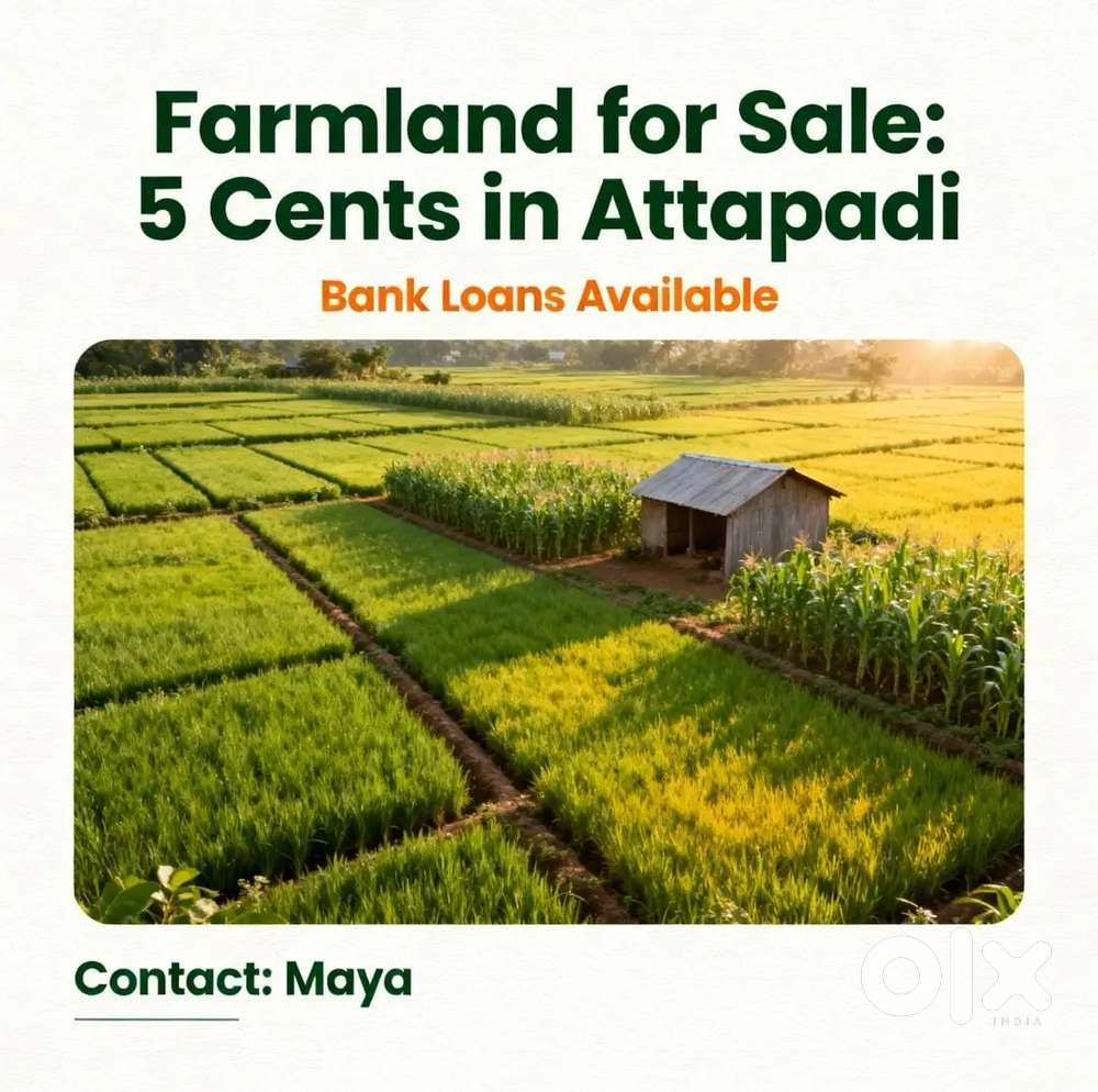Farmhouse and Farmland sale