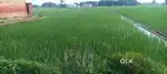 Tikari badagaon babatpur varanasi