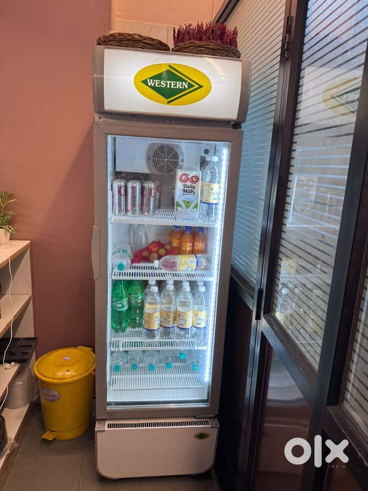 Deep Freezer, Display Fridge commercial