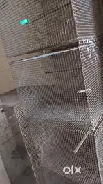 Bird cages