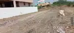 40'×64' East MTP main road very near,30 அடி தொடர் தார்சாலை, 
டி டி பி