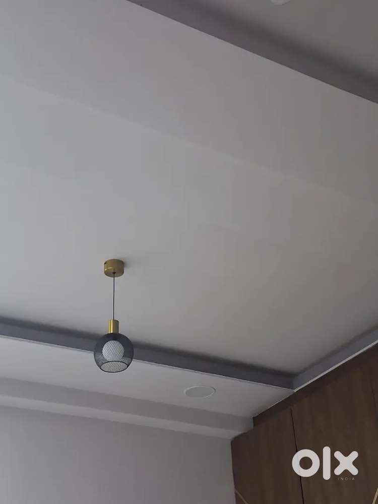 One bhk full furnished flat