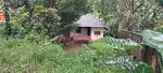 10 Cent Residential Plot with House for Sale – Samballoor, Chalakudy