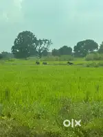 10 acre commercial land at Tadoba tiger reserve