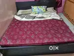 Kurl on king size mattress (78x72x4 inches) (cot not included )