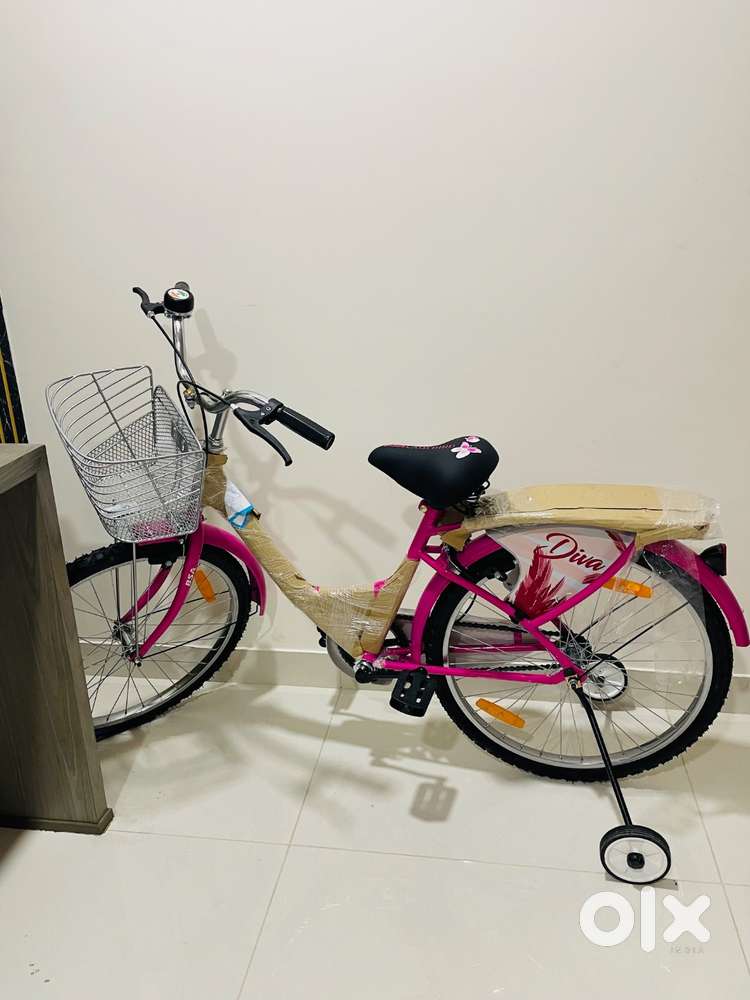 New Pink LadyBird  Bicycle