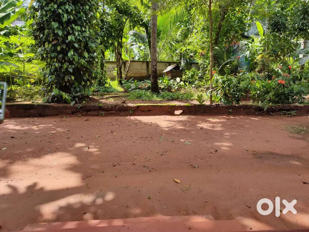 40 cent land with house for sale.